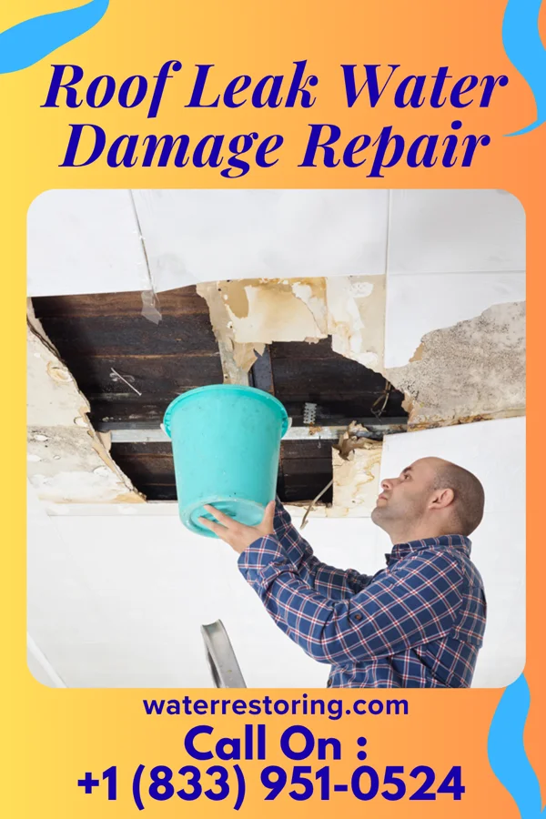 Roof Leak Water Damage Repair in Garden City, UT